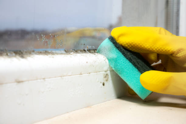 Best Residential Mold Inspection & Testing  in East Freehold, NJ